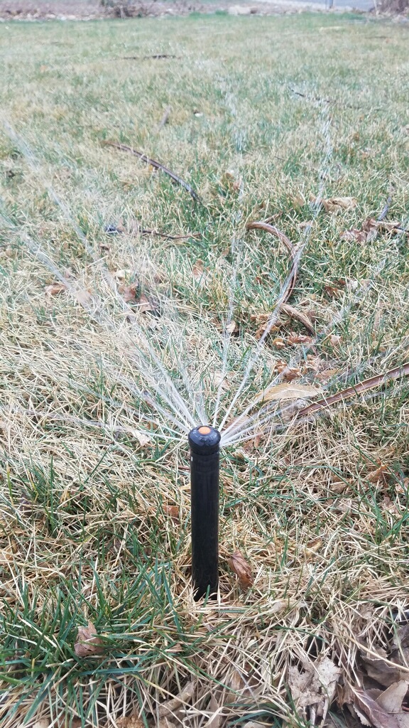 IMG_0409 The Sprinkler Guy