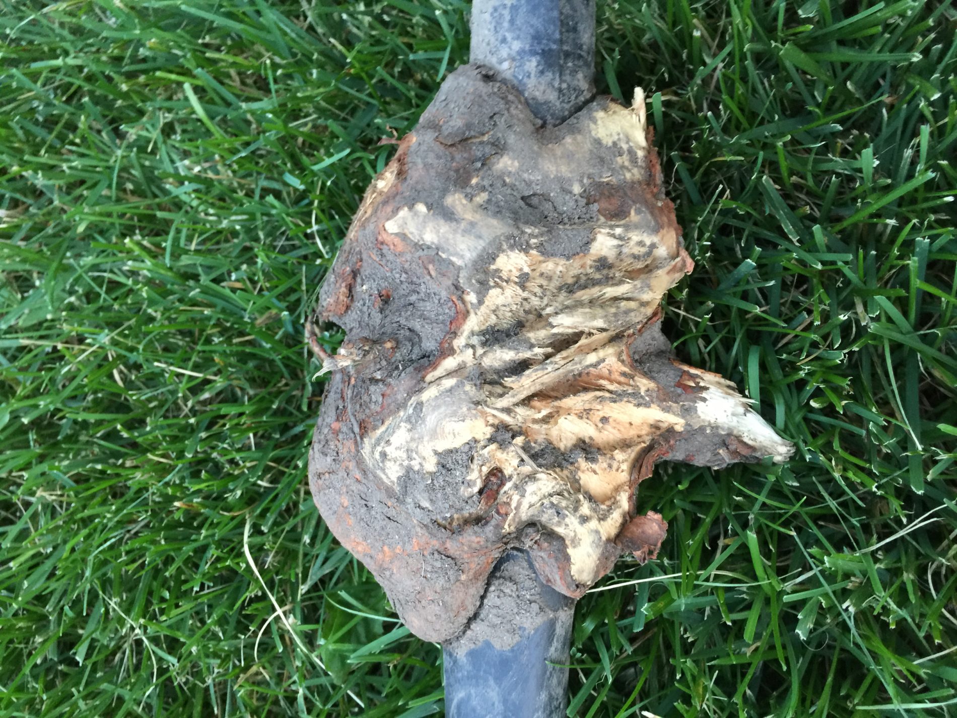 IMG_1108 The Sprinkler Guy