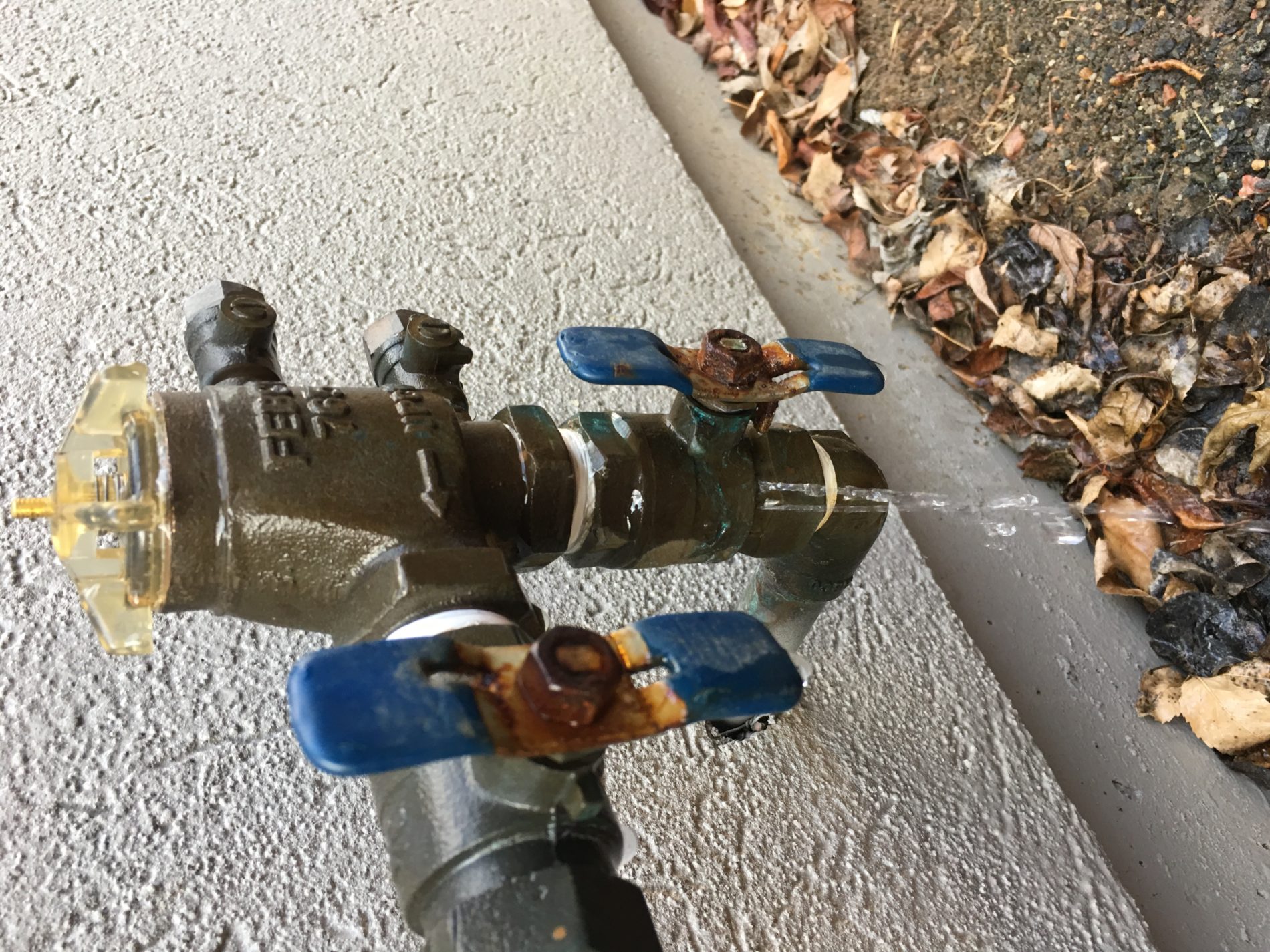 IMG_4219 The Sprinkler Guy