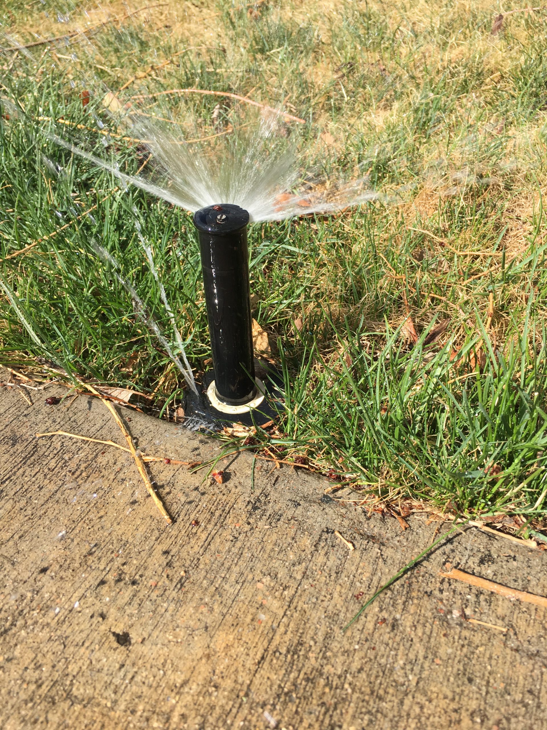 low sprinkler head