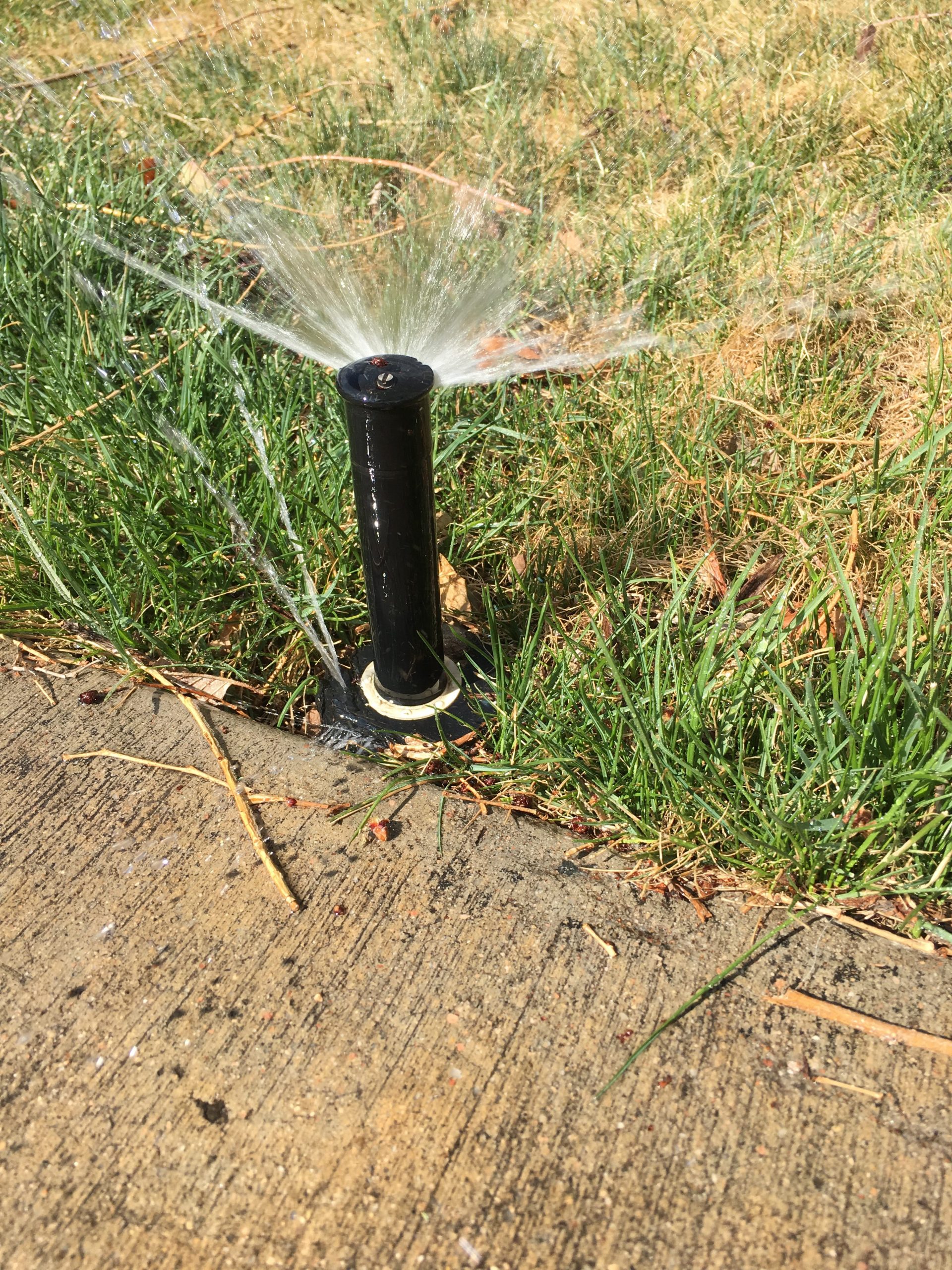 Savings Tips - The Sprinkler Guy