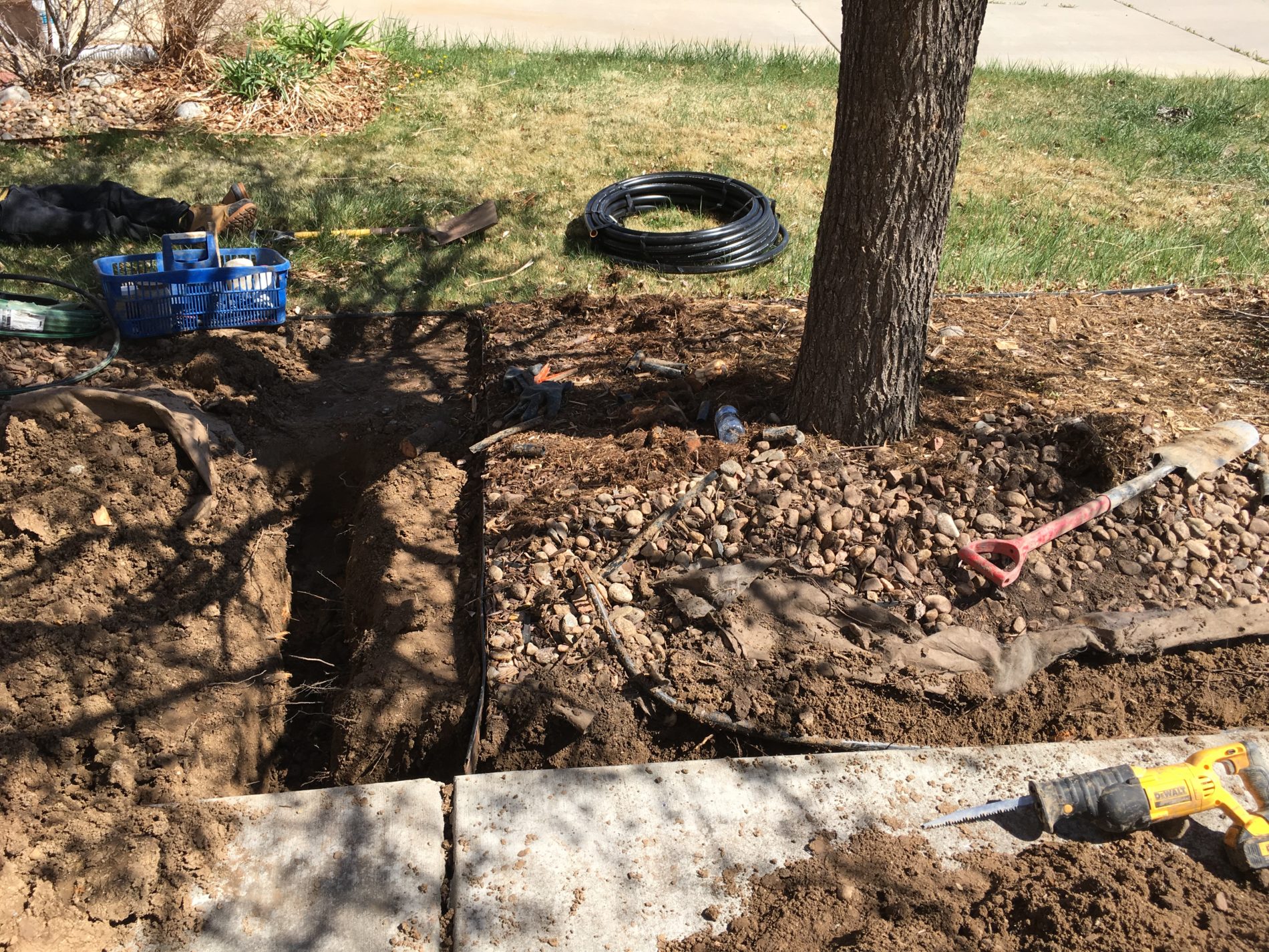 IMG_4250 The Sprinkler Guy